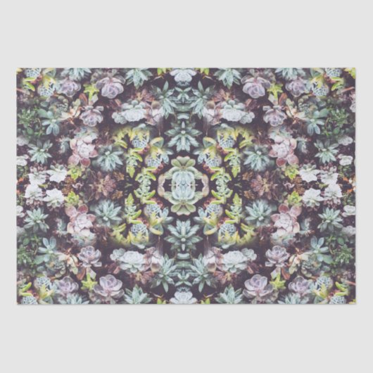 Succulent Tuin Planten Fotopatroon Tissuepapier (Voorkant)