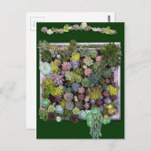 Succulent tuinontwerp briefkaart (Voorkant / Achterkant)