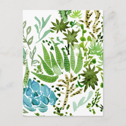 Succulent veld I Briefkaart (Voorkant)