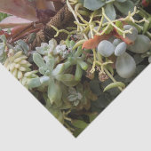 Succulent weefselpapier tissuepapier (Detail)