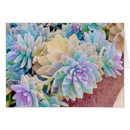 Succulent wenskaart