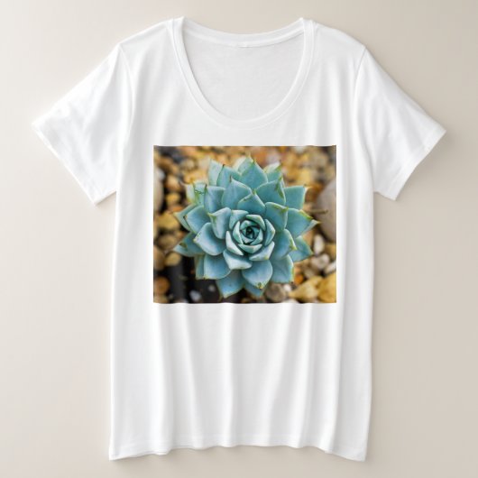 Succulente (Design devant)