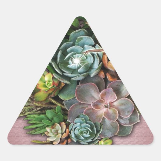 Succulente beeldschermen driehoek sticker (Voorkant)