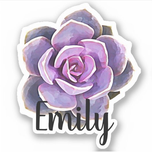Succulente Cactus Naam Sticker (Voorkant)
