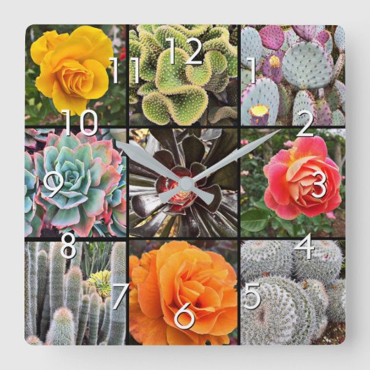 Succulente cactussen rozen bloemenfotografie colla vierkante klok (Voorkant)