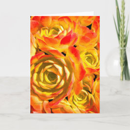 Succulente Echeveria-Plant Kaart