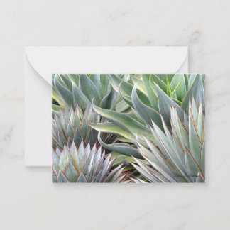 Succulente kaart Agave 'Blue Glow', 'Blue Flame' Notitiekaartje