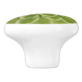 succulente keramische trek knop (Zijkant)