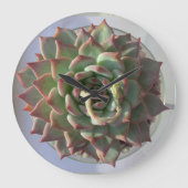 succulente klok (Voorkant)