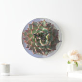 succulente klok (Huis)
