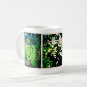 Succulente Mok (Voorkant links)