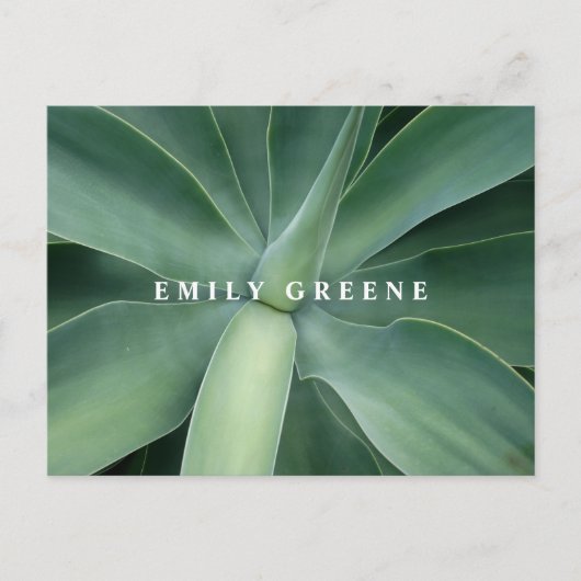 succulente notitiekaarten (Voorkant)