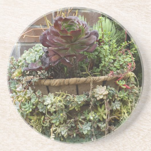 Succulente Onderzetters (Voorkant)