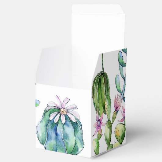 Succulente Partij Bedankdoosjes (Geopend)