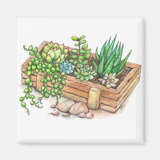 succulente plantenbak magneet (Voorkant)