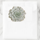 Succulente postzegel rechthoekige sticker (Tas)