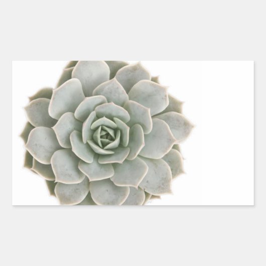 Succulente postzegel rechthoekige sticker (Voorkant)