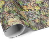 Succulente Sempervivums - Vintage Filter Cadeaupapier (Rol Hoek)