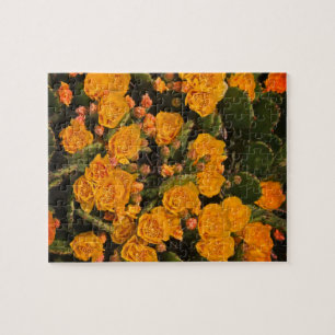 Succulente tuinbloemen Gele groene Planten Legpuzzel