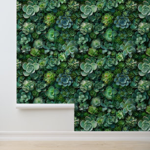 Succulente tuinflora groen patroon behang