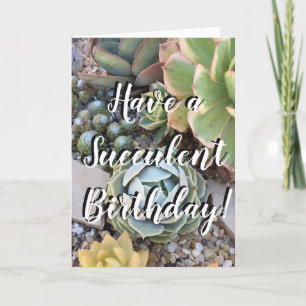 Succulente Verjaardag Kaart