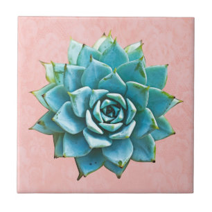 Succulente Waterverf op Blush Pink Lace Tegeltje