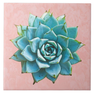 Succulente Waterverf op Blush Pink Lace Tegeltje