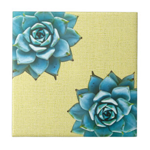 Succulente Waterverf op geel Tegeltje