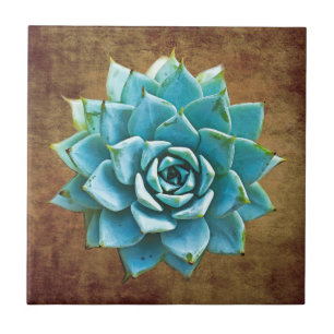 Succulente Waterverf over Rustic Brown Tegeltje