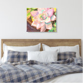 Succulente Waterverf van Debra Lee Baldwin Canvas Afdruk (Insitu (Slaapkamer))