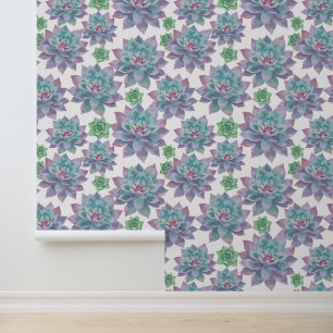 Succulenten Behang