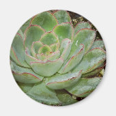 Succulenten Magneet (Voorkant)