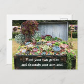 Succulenten op schatkist briefkaart (Voorkant / Achterkant)