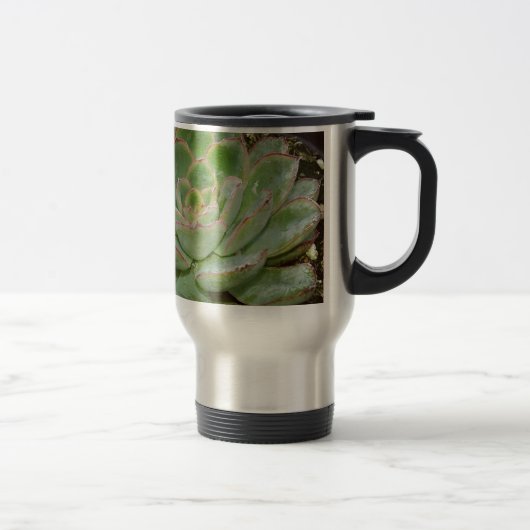 Succulenten Reisbeker (Rechts)