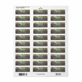 Succulenten rustiek etiket (Full Sheet)