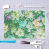 Succulenten schilderen door Cindy Bendel Tissuepapier (Craft)