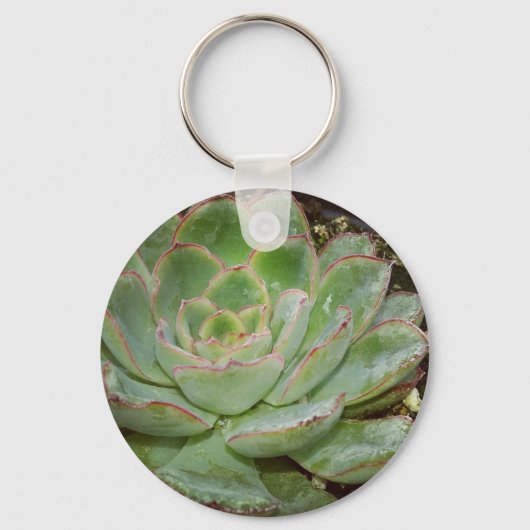 Succulenten Sleutelhanger (Voorkant)