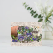 Succulenten te koop briefkaart (Staand voorkant)