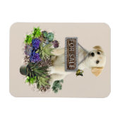 Succulenten te koop magneet (Horizontaal)