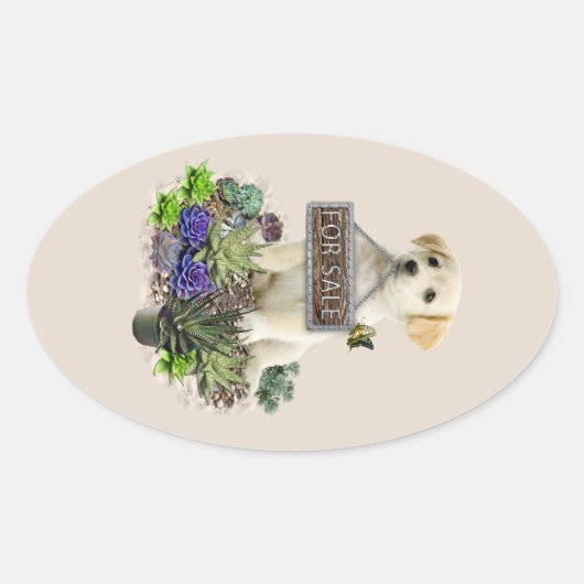 Succulenten te koop ovale sticker (Voorkant)