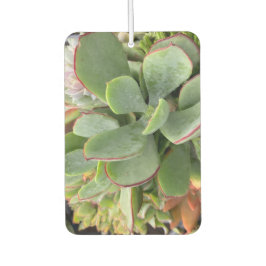 Succulents Air Freshener Luchtverfrisser