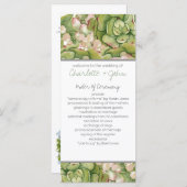 Succulents dans les programmes de mariage rustique (Devant / Derrière)