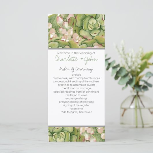 Succulents dans les programmes de mariage rustique (Debout devant)