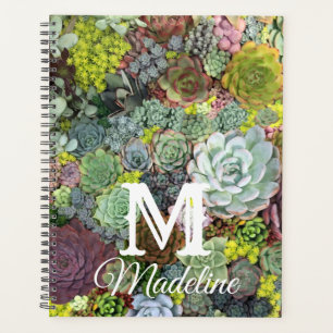 Succulents de verdure
