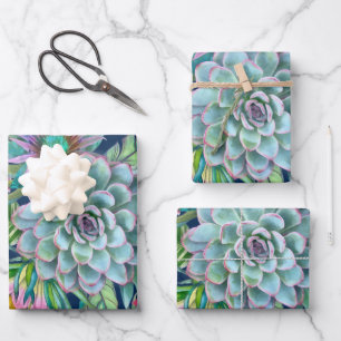 Succulents Echeveria Cactus Flowers Pattern Inpakpapier Vel