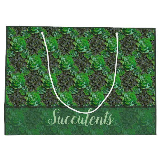 Succulents Grand Sac Cadeau (Dos)