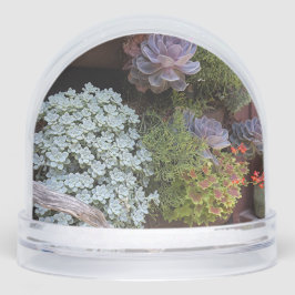 Succulents Snow Wereldbol Sneeuwbol