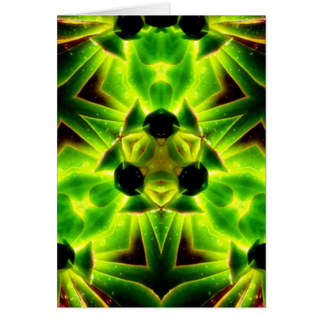 SucculenTy Kaart (Voorkant)