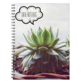 Succulte Aeonium Dream Big Quote Notitieboek