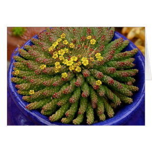 Succulte euforie kaart van Debra Lee Baldwin
